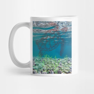 Underwater Tortoise Line Art Mug